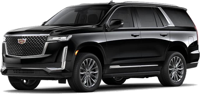 Long distance & intercity with Executive Limo